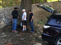 -阳台山自然风景区