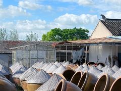 -苏州市吴中区光福窑上花果蜜饯厂