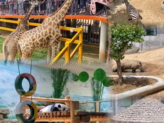 -西霞口神雕山野生动物世界