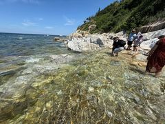 -养马岛旅游度假区