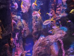 -海合安成都极地海洋公园