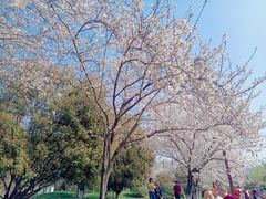 -堤角公园