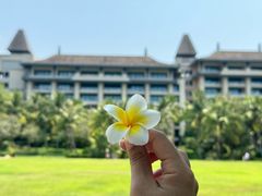 -海南清水湾莱佛士酒店