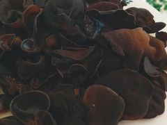 黑木耳-东来顺饭庄(天坛店)