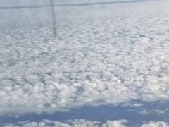 -青岛胶东国际机场