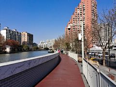 -苏州河梦清园环保主题公园