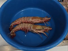 -真浪花园海鲜餐馆