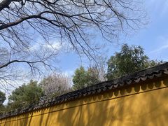 -西园戒幢律寺