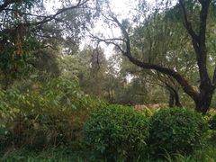 -人民公园(罗湖区)