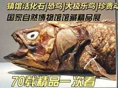 -国家自然博物馆