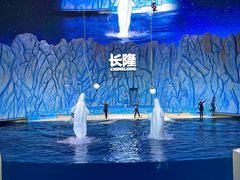 -珠海长隆海洋王国