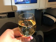 -德国汉莎航空公司