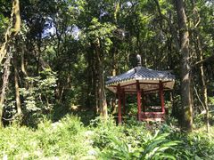 -天鹿湖森林公园