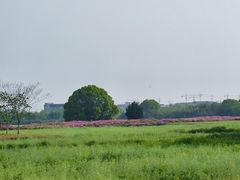 -良渚古城遗址公园