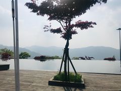 -江南天池