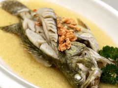 当红玛瑙鳜鱼-新聚丰菜馆(太监弄店)