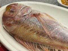 -吴记富苑(朝阳店)