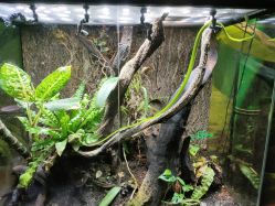 -酷嗒动物文化乐园(cutezoo西溪乐天城店)