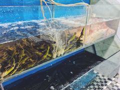 水产区-褒河栈道渔庄(建工路总店)