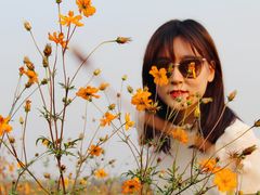 -北京东方普罗旺斯薰衣草庄园