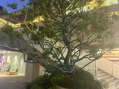 -中海环宇荟