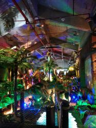 点击看大图 -恐龙探索乐园(磁器口店)