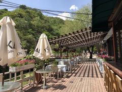 -Local泰莲庭(虹鳟鱼店)