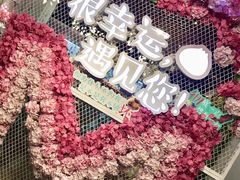 -一笼小幸运