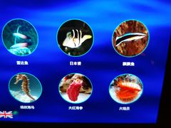 -沈阳海洋探索中心