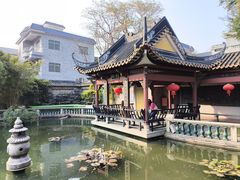 -碧江金楼