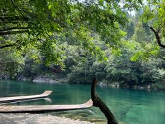 -石台牯牛降景区
