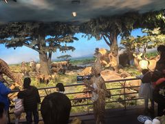 -国家自然博物馆