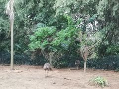 -广州长隆国际大马戏