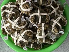 -阳澄湖大闸蟹·琼灵阁牌品牌连锁(吴中总店)