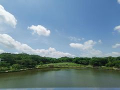 -东莞植物园