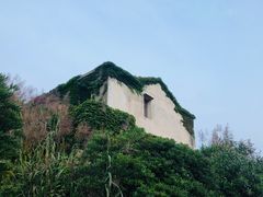 -东极岛景区