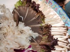 -南门四季铜锅涮肉(大屯·北苑店)