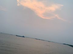 -大湾区中央湿地公园