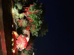 -五缘湾湿地公园