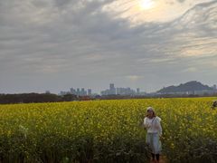 -光明小镇欢乐田园