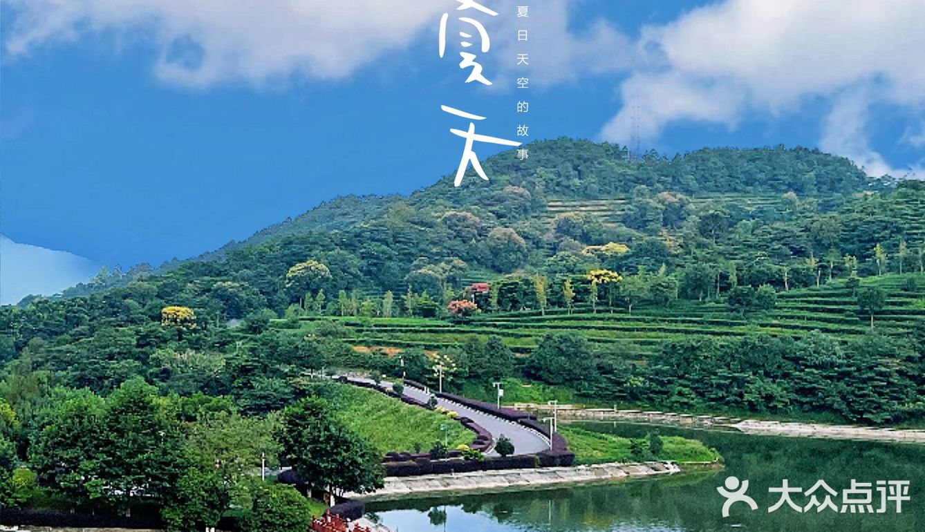 小众宝藏旅游胜地——云浮翔顺象窝山生态园