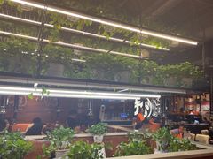 -猫爪爪原切自助烤肉(观音桥阳光世纪店)