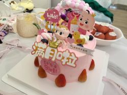 -维倪月子会所(独栋庭院·南海店)