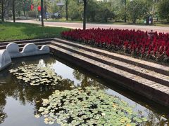 -武清南湖绿博园