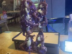 -质烤烤物·活烤海鲜(质烤总店)