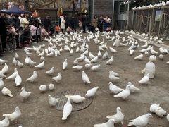 -绵阳人民公园(涪城区)