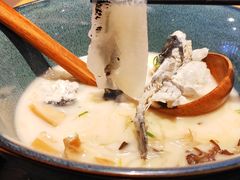 -天正河鲀·河豚亭(大连店)