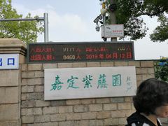 -嘉定紫藤园