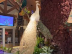 -寻滇记云南鲜牛肉火锅(北海路店)