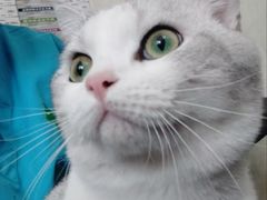 -天津前进宠物医院(前进道店)